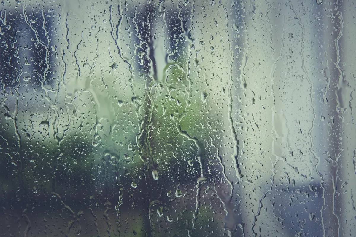 Dark mold and condensation collecting along the edge of a window frame