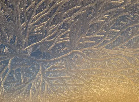 Fern-like frost crystals grown across a window pane