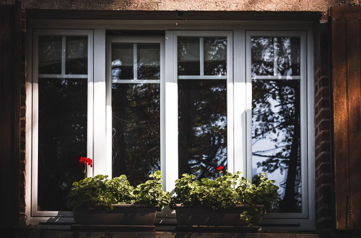 A pair of double casement windows with a planter below